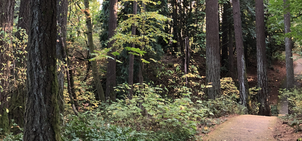 Help Us Expand Hallinan Woods